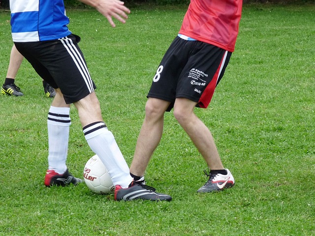 级障碍赛的 级障碍赛的