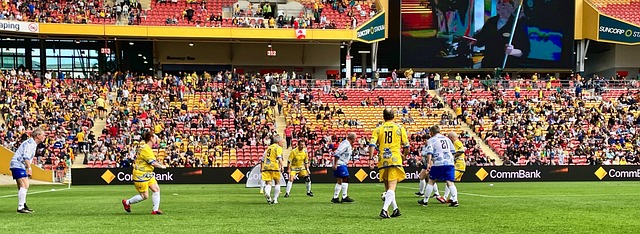 助和庞大的 助和庞大的