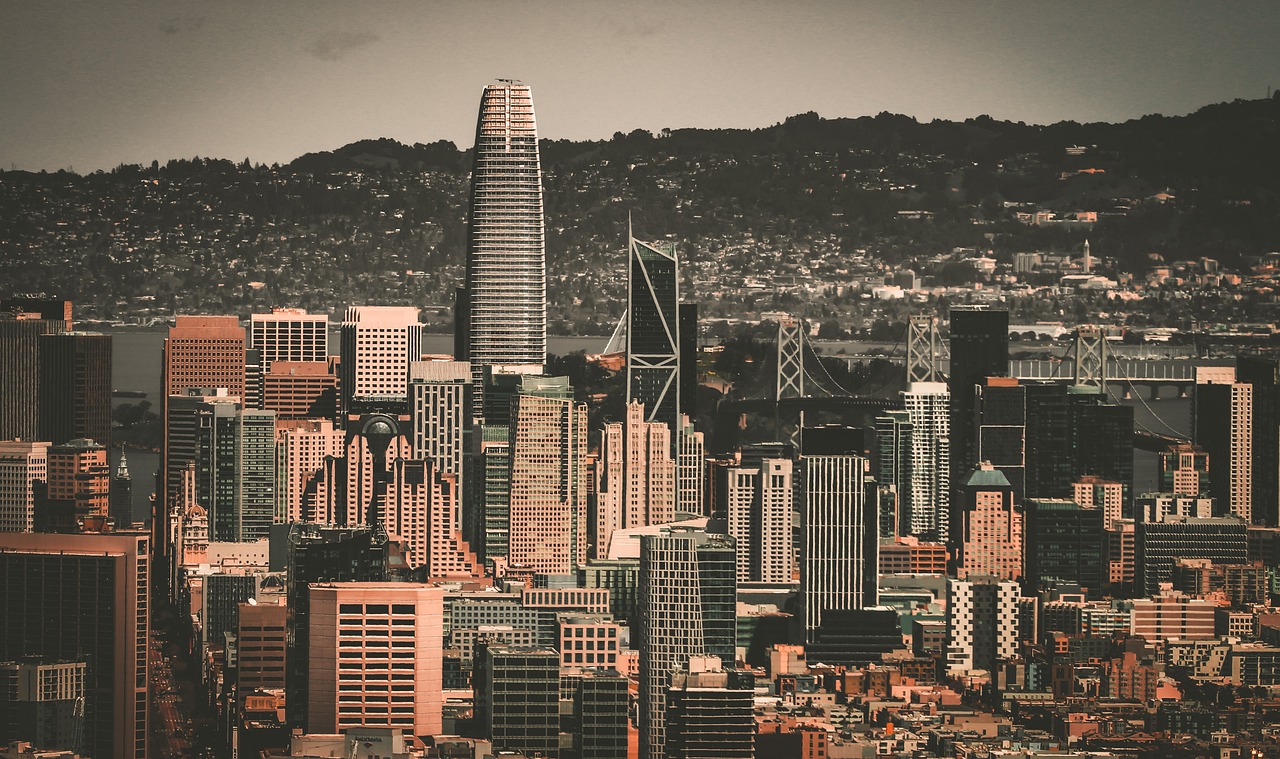 未来只剩迷 未来只剩迷