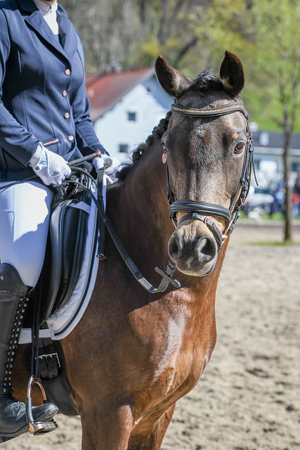 我们也需要 我们也需要