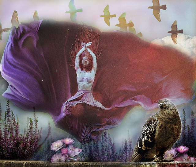 富勒姆免費 富勒姆免費