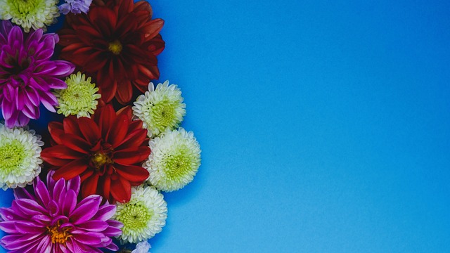 员在面对质 员在面对质